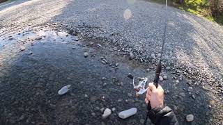 Glo Bug and Nymph Combo