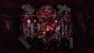 Blitzkid Genus Unknown Live Hd Plus Dvd Intro.mov
