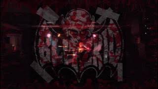 Blitzkid 'Genus Unknown' LIVE! HD! **PLUS DVD INTRO**.mov