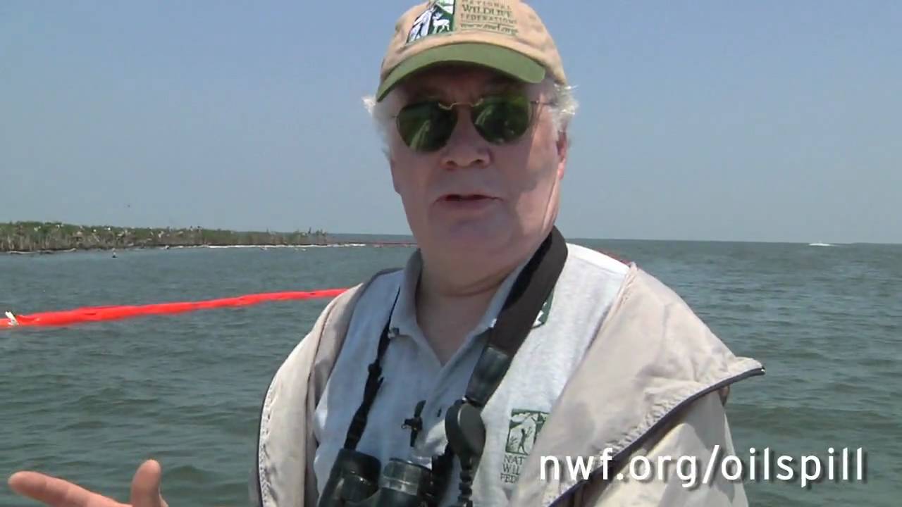 Oil Booms & Bird Habitat - NWF visits important bird rookery
