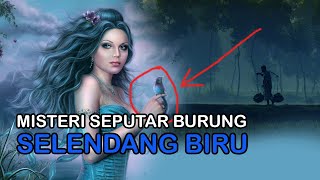 MISTERI BURUNG SELENDANG BIRU - SELALU JADI REBUTAN KICAUMANIA, YANG MANA SIH..??