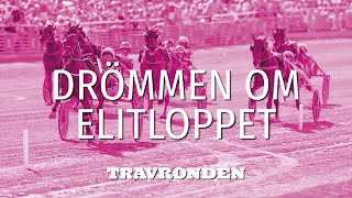 Drömmen Om Elitloppet 2025 Vi Träffade Richard Westerink I Frankrike