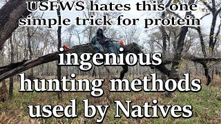 Some historical hunting strategies of Indigenous North Americans