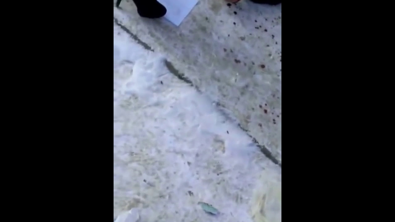 ������������