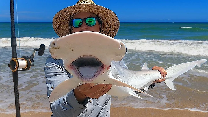 Do THIS to Catch the BIGGEST Bonnethead Sharks off the BEACH (Surf Fishing Florida)