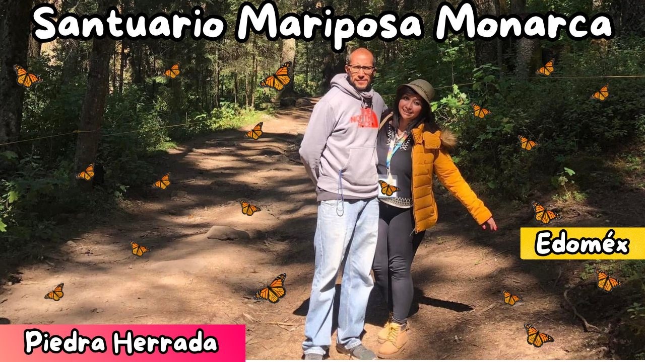 Santuario de la Mariposa Monarca Piedra Herrada:Edoméx