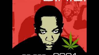 Famous Dr Dre   The Message Feat  Mary J  Blige & Rell Wealth