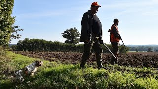 Interdire partiellement la chasse ? Une 