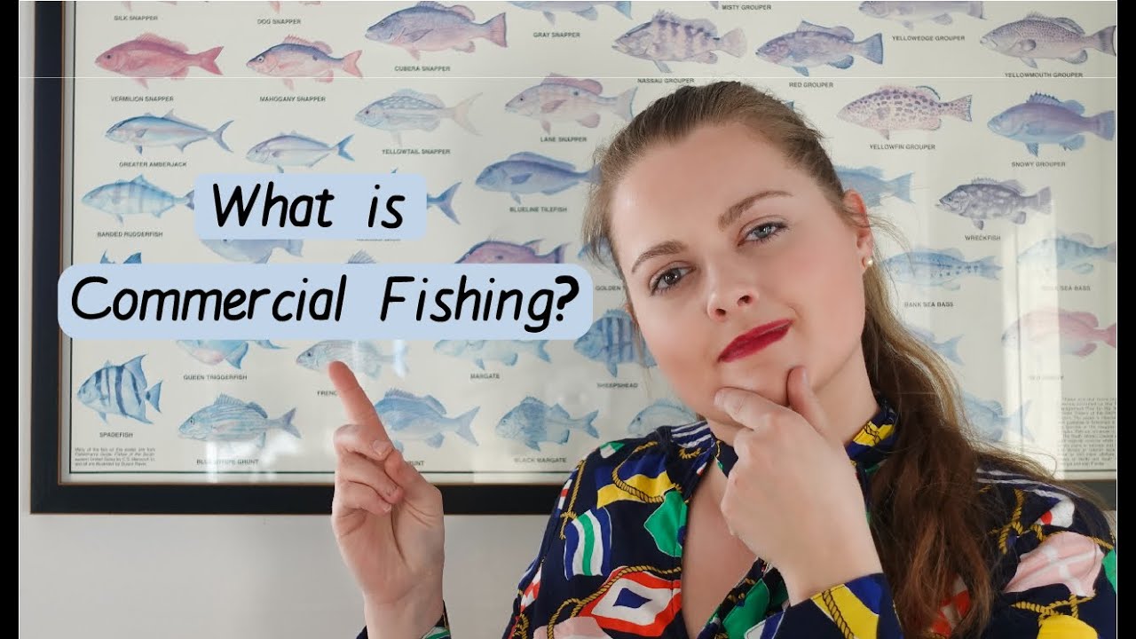 What is Commercial Fishing? How we sustainably harvest seafood in the