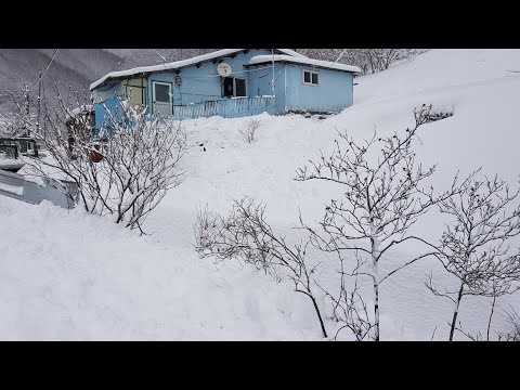 이제야 겨우 제설을 끝내고 돈벌러 간드아 산에는 눈꽃이
