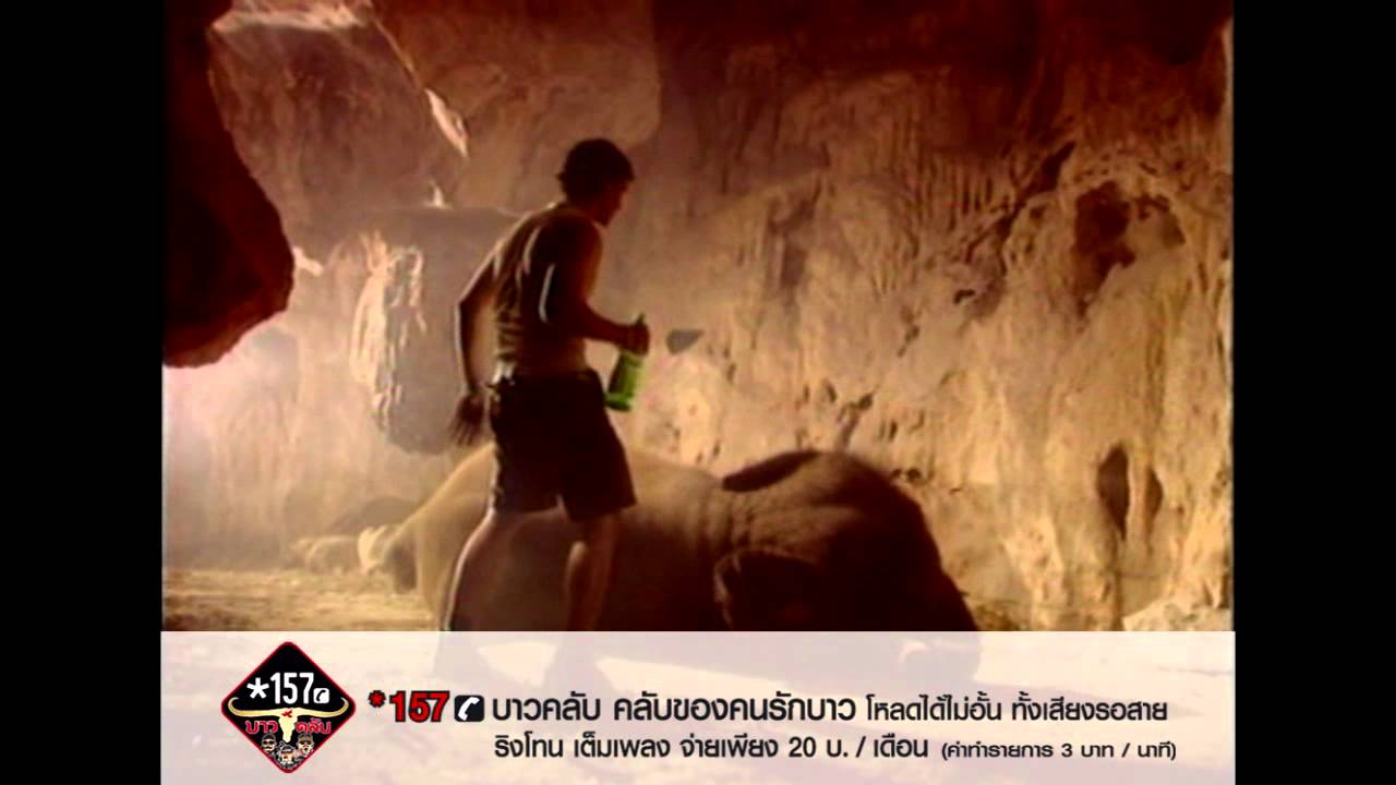 ปกเพลง ขี้เมาใจดี — CARABAO