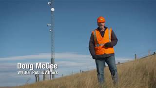 Web Cameras screenshot 2