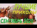 ЛУЧШИЕ ПРИКОЛЫ СЕНТЯБРЯ 2020 | ЛЮТЫЕ | СМЕХ | ДО СЛЕЗ| РЖАКА | УГАР | ЧУДИКИ ИЗ СОЦСЕТЕЙ | КОШКИ |#1