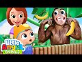 Trip To The Zoo Song  | Fun Animal Sing Along Songs by Little Angel Animals