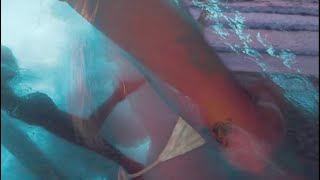 enter my giveaway! | top black female star, misc: love, kids, kash doll, skai jackson, becky g &more
