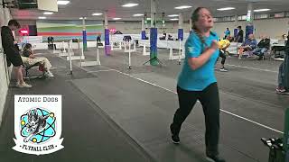 4/25/26 Race 48- Atomic Dogs Flyball Club {Bombs Away}// High Velocity April Flyball Tournament