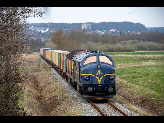 VIKING-Rail - MX 1023 + 1833 med prøve containertog - Aarhus-Aalborg - 27-03-2024