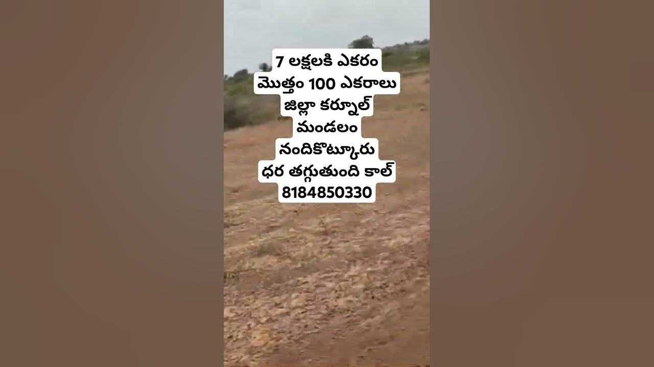 100 Acrs Sale || Kurnool || Andhra Pradesh || #landforsale #lowbudget #andhrapradesh #agriculture 100 Acrs Sale || Kurnool || Andhra Pradesh || #landforsale #lowbudget #andhrapradesh #agriculture