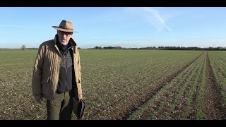 Time to look at the financials for Harry's Farm. Did it make a profit in 2020?