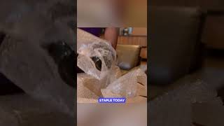 Bubble Wrap Was Invented By Accident! 😮📦   #shorts