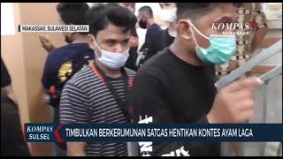 Satgas Reika Hentikan Kontes Ayam Laga Karean Timbulkan Kerumun ksp