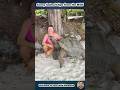 Funny Animal Clips from the Wild #shortvideo #animals #pets