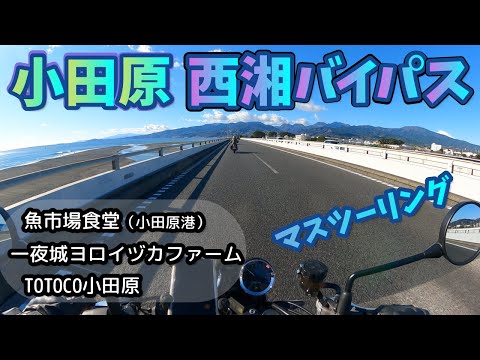 [バイク旅#35]マスツー納め　西湘バイパス、小田原満喫のツーリング　魚市場で新鮮海鮮丼　一夜城ヨロイヅカファームで最高においしいケーキに出会った　TOTOCO小田原も