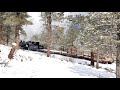 Durango railroad working with colorado state forest service on timber thinning project