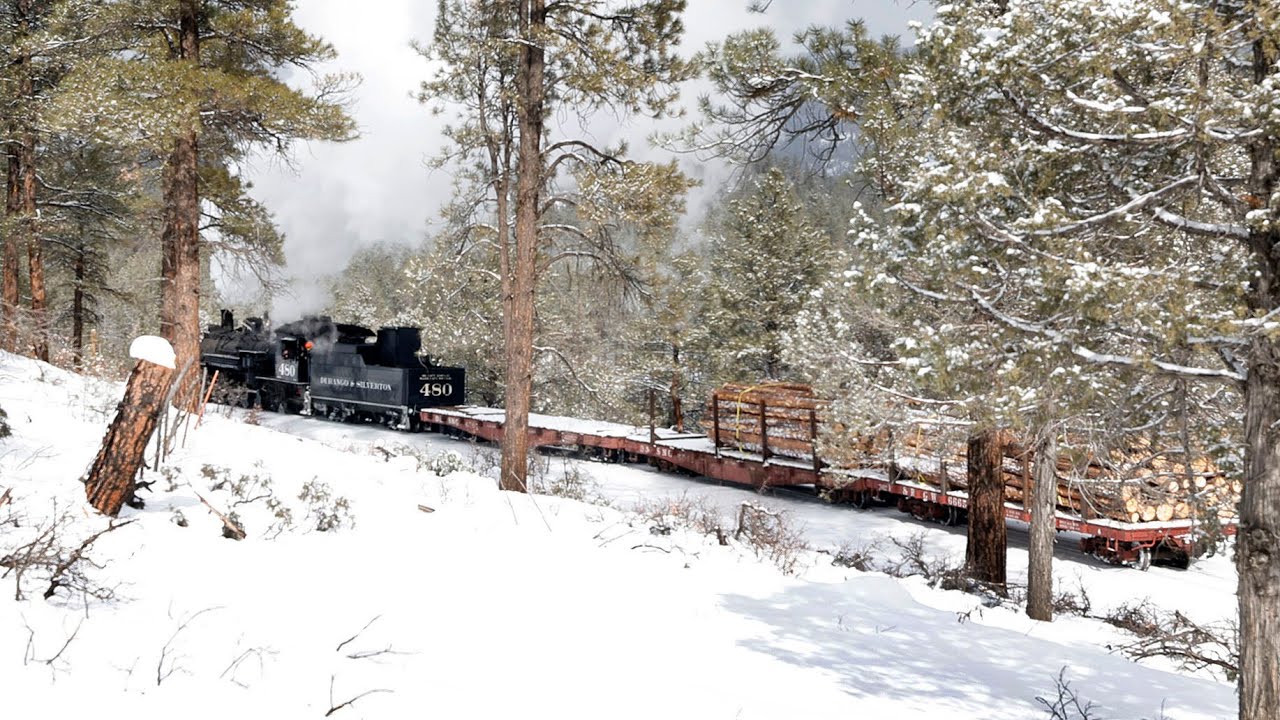 Logging by train