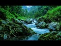River Waterfall Flowing in a Mountain Forest 24/7. Waterfall Sounds. White Noise for Sleeping #2