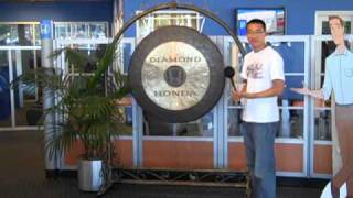 Mr Opportunity And Our Newest Family Member