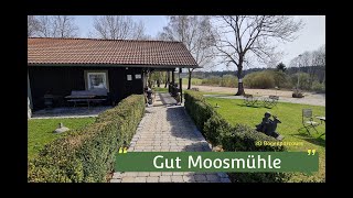 3D Bogenparcours - Gut Moosmühle