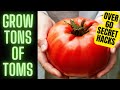 Tomato growing hacks tips and tricks  over 60 secrets to tons of tomatoes