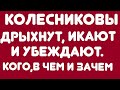 Колесниковы// Дрыхнут, икают и убеждают// Кого, в чем и зачем// Обзор видео//