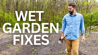 Too Much Rain? How to Garden Through a Soggy Spring