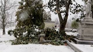 Spring Hill Cemetery Ice Storm