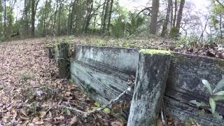 Historical Steamboat Landing on The Ocklawaha River in Ocala National Forest
