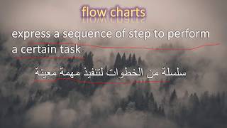 Introduction to Computer Science and Programming CHAPTER 2 جامعة جدة