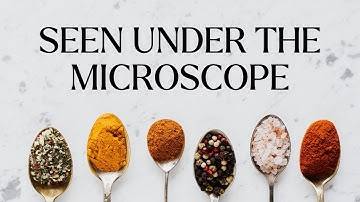 We put Asian spices under a microscope!