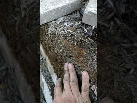 Арболит монолитный своими руками пропорции