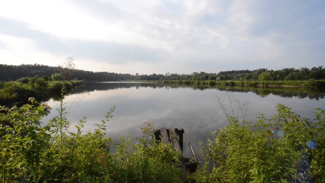 Augusta Outdoors - Silver Bluff, A Sanctuary Just Across the River