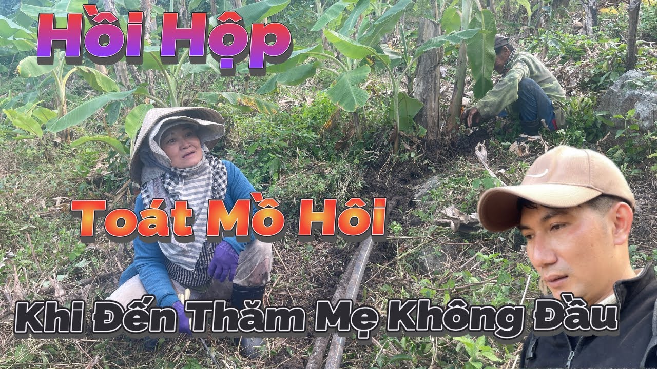 Sự Thật Vị Thiền Sư Ẩn Tu Trong Rừng Sâu Được Hé Lộ