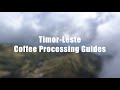 Coffee Processing Guides - ENGLISH - Timor-Leste