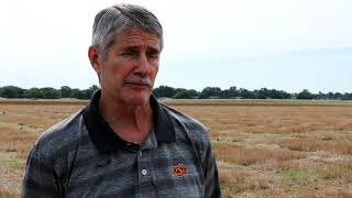 Early Wheat Planting: Bob Hunger