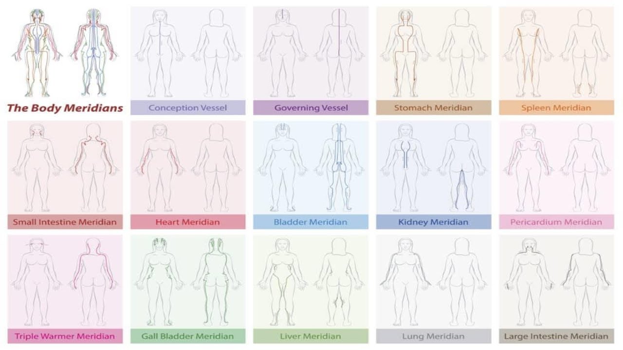 UNDERSTANDING ACUPUNCTURE CHANNELS AND QI CIRCULATION