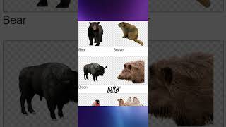 Download High-Quality PNG Images for Free