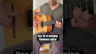 Day 28 of learning Flamenco guitar #flamenco #acousticguitar #fingerstyle #solea