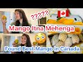 Mango Price In Canada 🇨🇦|| Best Alfanso Mango || Itna Mehenga Mango 😳|| #svadhisworld