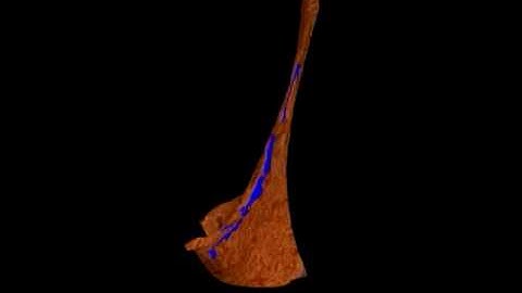 Fast Pairwise Collision Detection of Triangular Meshes Using