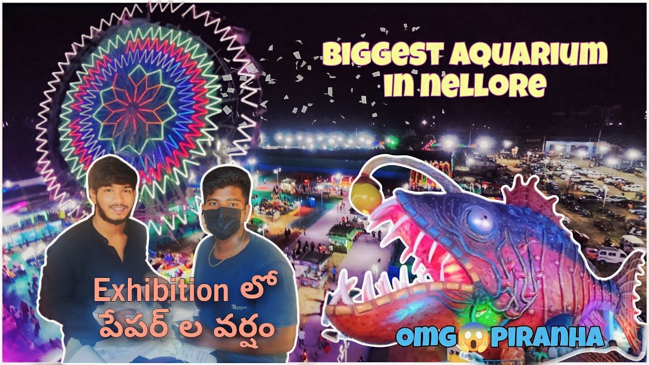 Fish tunnel aquarium exhibition in nellore😍!! పేపర్ లాతో రచ రచా YouTube